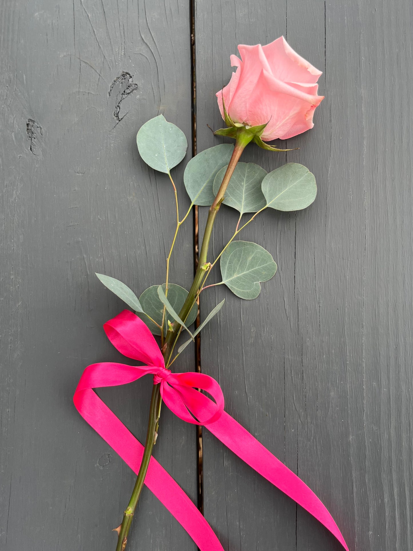 Ribbon Tied Rose