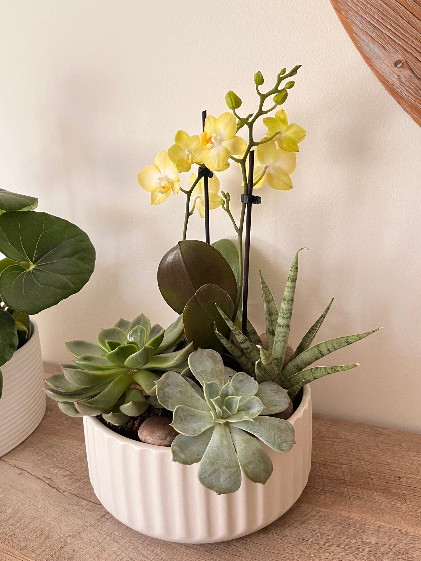 Jan 22nd Workshop: Orchid and Succulent Bowl