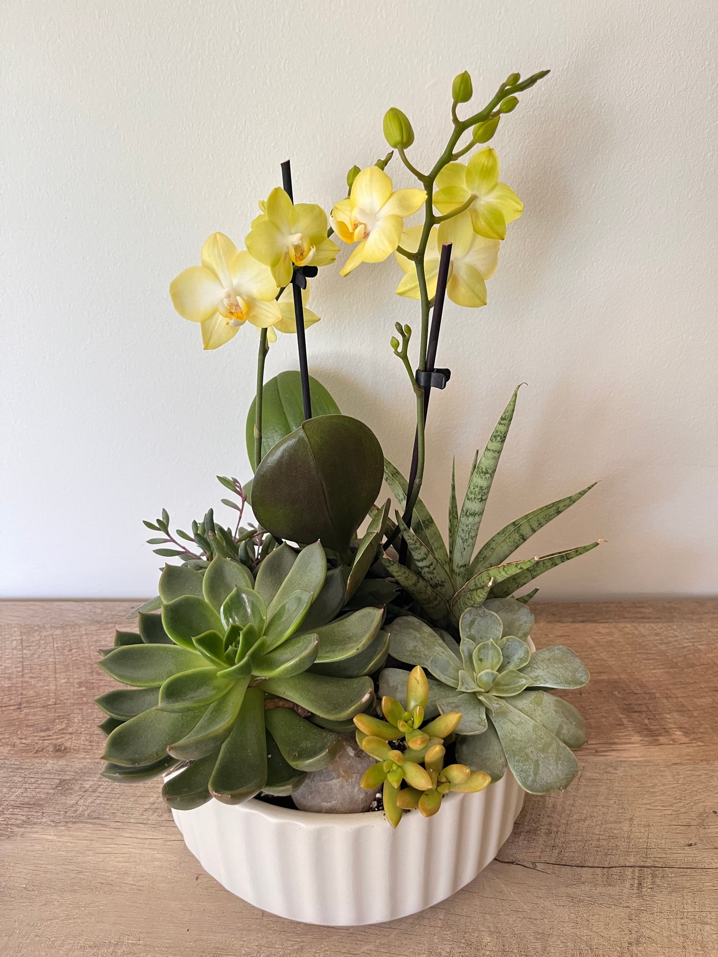 Jan 22nd Workshop: Orchid and Succulent Bowl