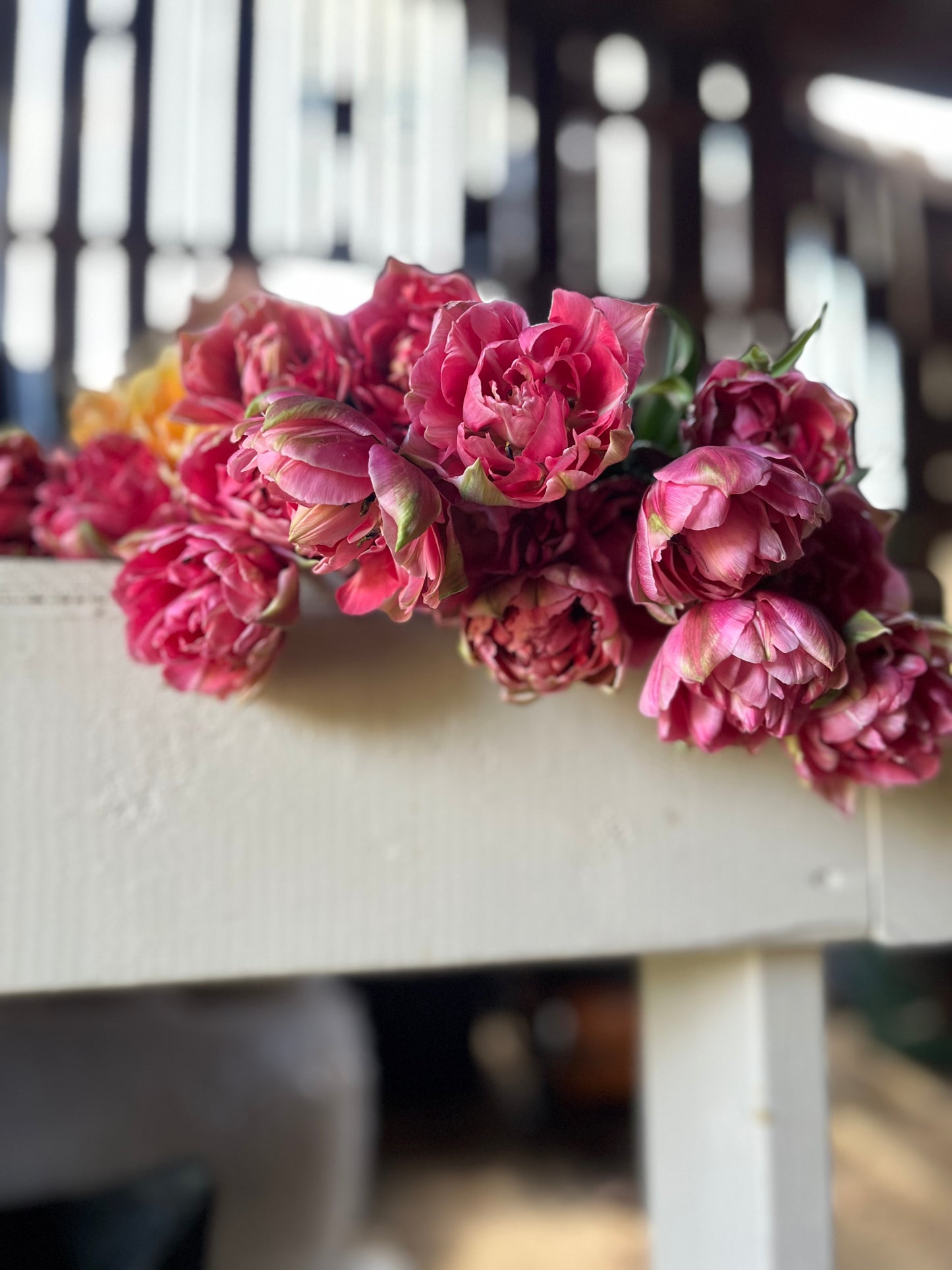 Spring Bouquet Subscription (4 weeks)